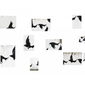 program_tbl image 142