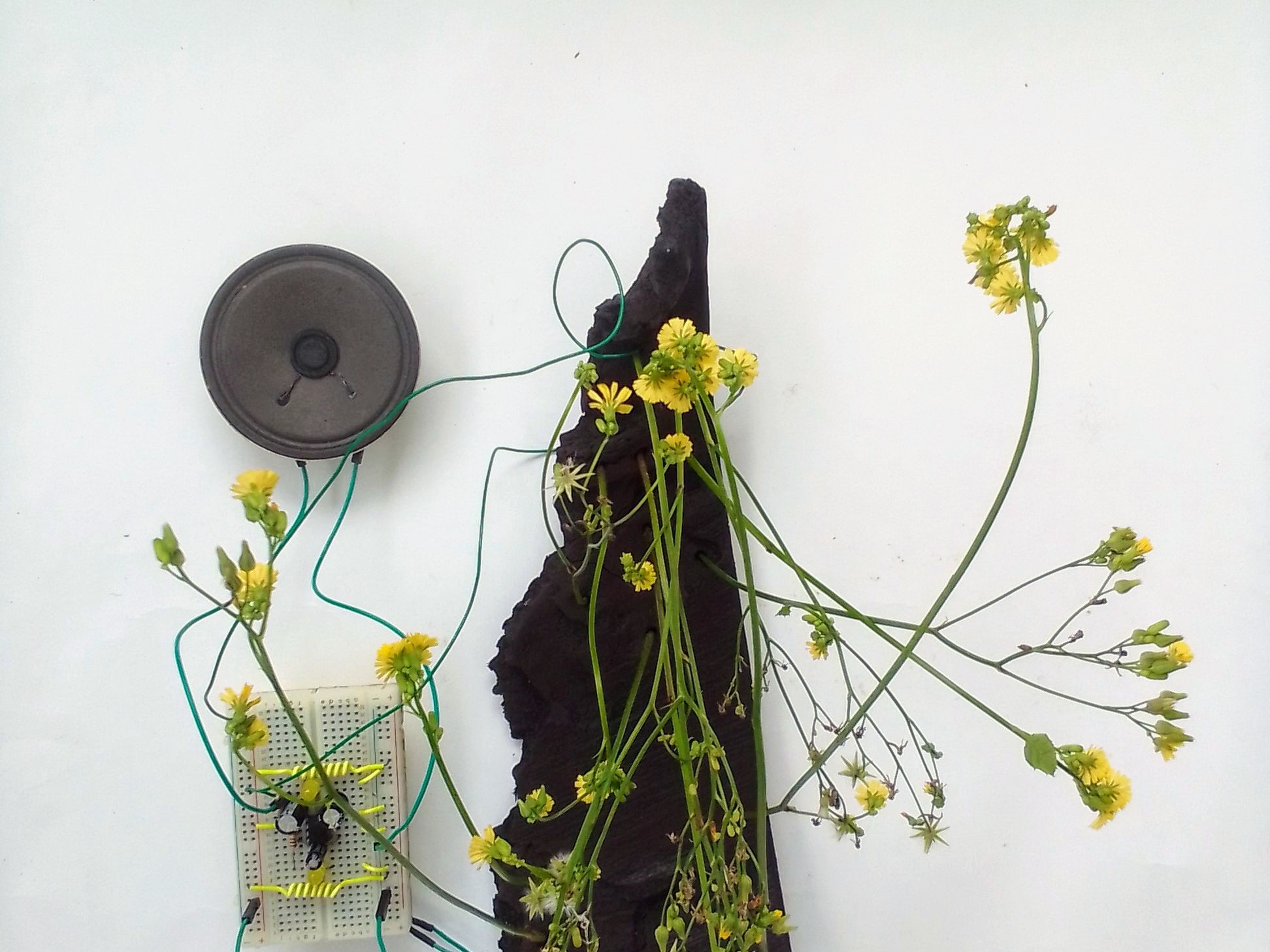 tbl_content_blog image 383