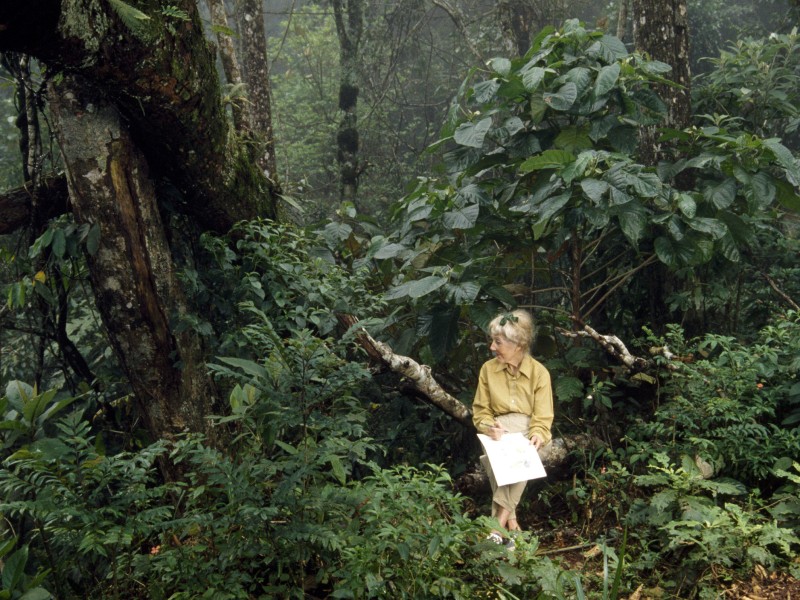 tbl_content_blog image 399