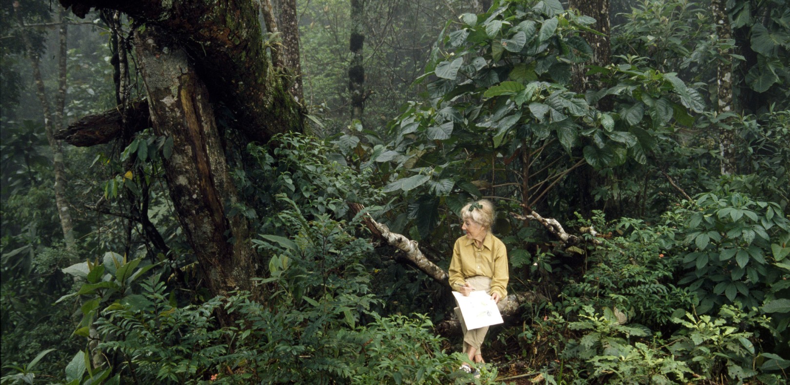 tbl_content_blog image 399